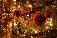 Sapin 08.jpg